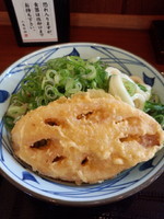 「ぶっかけ（大・冷）380円＋れんこん天90円」@丸亀製麺 足立店の写真