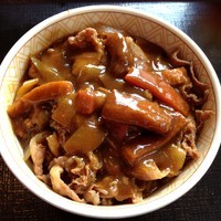 「【期間限定】カレー南蛮牛丼（￥400）」@すき家 129号厚木IC店の写真