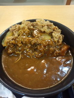 「牛カレー(並・辛口)480円」@吉野家 尾久橋通り皿沼店の写真