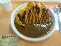 「ジャンボチキンカツカレー」@鈴木カリー アクアシティお台場店の写真