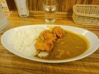 「とりからポークカレー」@麹町咖哩の写真