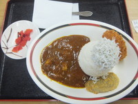 「富士山カレー700円(世界遺産登録記念期間限定500円)」@道の駅富士 上り線食堂の写真