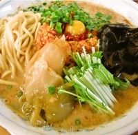 「卯月の一杯 胡麻辛(辛口)900円」@MENYA 食い味の道有楽の写真