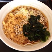 「TSそば（￥290）」@梅もと 品川店の写真