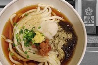 「梅昆布ぶっかけ　小と中の間盛り」@手打うどん 長谷沼の写真
