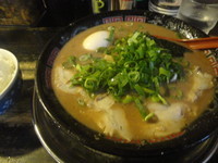 「とんこつラーメン（半熟味玉付き）」@無鉄砲 東京中野店の写真