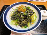 「夏とく冷やし麺・黒酢黒ゴマ」@長崎ちゃんぽん リンガーハット 田町慶応仲通店の写真