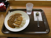 「カツカレー（普通盛り）：450円」@かれーやの写真
