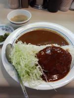 「ハンバーグカレー700円」@むさしやの写真