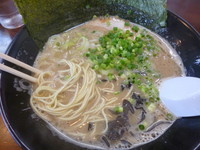 「豚骨らーめん　まる（680円）」@博多ラーメン とんこつ家の写真