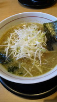 「味噌らーめん」@らーめん酒房 遊麺の写真
