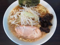 「濃厚みそ（中盛）￥650円（＋100円）」@味噌麺 伝堂の写真