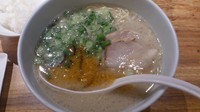 「ランチラーメン白＋ごはん＋餃子5個_850円」@博多一風堂 銀座店の写真