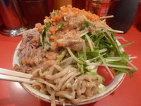 「サラダ麺（780円）」@ひたちなか大盛軒の写真