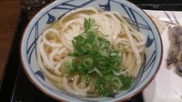 「かけうどん_大(冷)380円」@丸亀製麺 日比谷帝劇ビル店の写真