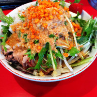 「サラダ麺(200g)  780円」@ひたちなか大盛軒の写真