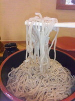 「もりそば(５５０円)」@草笛 上田店の写真