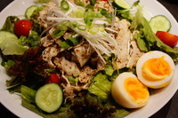 「冷やし中華」@麺屋武蔵 巌虎の写真