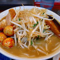 「味噌らーめん チンピラタマゴ フライドガーリック ニンニク 野菜」@味噌麺処 花道庵の写真