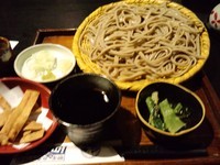 「太打ち田舎そば（ざる）定食大盛1260円親子丼抜き」@百々亭 大井町店の写真