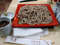 「生粉打そば（きこうちそば）770円＋大盛370円」@永坂更科 布屋太兵衛 新宿地下鉄ビル店の写真