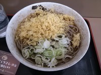 「たぬきそば」@そば処 武田 春日店の写真