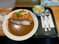 「八ツ山カレー（Ｍ）：1050円」@ロビンソンクルーソーカレーハウスの写真