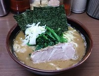 「らーめんカタメ」@横浜家系 侍 渋谷店の写真