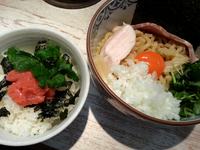 「濃厚たまごのまぜそば＋限定めんたいごはん」@中華そば 四つ葉の写真