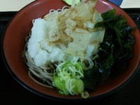 「冷やおろし」@富士そば 川越店の写真