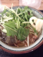 「ハリハリ油かすうどん（並）480円」@愉々家 ウイング新橋店の写真