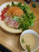 「【限定】鴨と豆乳のサラダSOBA」@麺屋 Hulu-luの写真