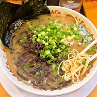 「ラーメン＋キクラゲ（バリカタ）　650円+100円=750円」@九州大分らぁめん たまがった 神奈川新町本店の写真