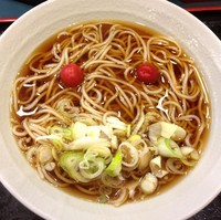 「かけ(¥230)」@小諸そば 金杉橋店の写真