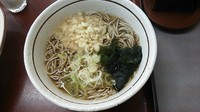 「たぬきそば」@山田うどん 新町店の写真