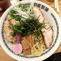 「油そば（大）＋生卵　￥８３０」@油そば専門店 GACHIの写真