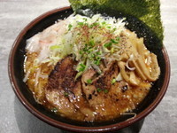 「湊生特製雷麺(中盛・250g)800円」@麺処 湊生の写真