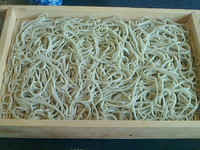 「板天そば1350円（北海道産「北わせ」新蕎麦粉）」@そば処 丸万の写真