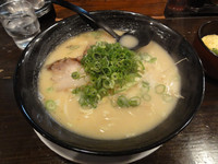 「とんこつらーめん」@九州ラーメン てっぽうやの写真