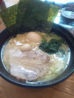 「濃厚とんこつ醤油ラーメン 650円」@横浜家系ラーメン 新とんこつ大学 八丁堀キャンパスの写真
