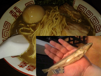 「【限定】エソの祭りソバ　￥８００」@中華ソバ 伊吹の写真