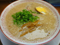 「だるま・こってり・博多麺」@だるま大使 本店の写真