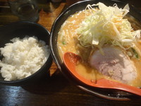 「辛味噌ラーメン大盛+半ライス」@麺処 花田 神田店の写真