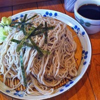 「ざるそば　450円」@柳麺 ととやの写真