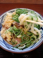 「牛肉ぶっかけ（並）430円」@丸亀製麺 守谷店の写真