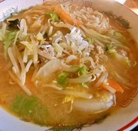 「味噌ラーメン＋半ライス(700円＋100円)」@お食事ハウス あゆとくの写真