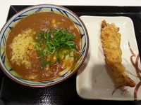 「カレーうどん+かしわ天500円」@丸亀製麺 イーサイト高崎店の写真
