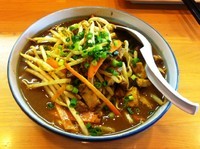 「鶏白湯スパイシーカレー麺とろみ」@麺場 鶏源 TORIGEN 黄金町店の写真