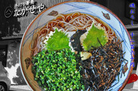 「磯おろし　1260円」@手打ち蕎麦 ながせやの写真