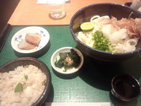 「おろしぶっかけ手延べうどんセット(800円)」@臼家 高田馬場店の写真